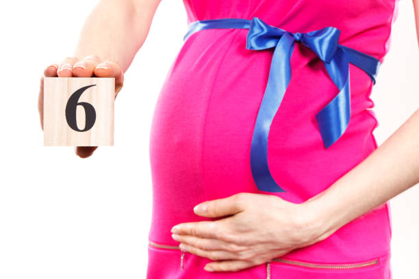 ► Что происходит с организмом будущей мамы на шестом месяце беременности? Что происходит с малышом в 6 месяцев его развития в утробе матери?