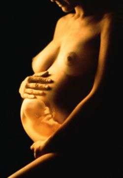беременность узи, беременность первое узи, сроки узи: первое узи 12 недель