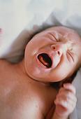 колики новорожденных: причины колик, лечение колик у новорожденных