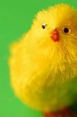 Желтушка у новорожденных: причины желтушки новорожденного, симптомы желтушки новорожденных, лечение физиологической желтушки