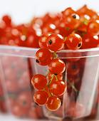 Свежая смородина Рецепт смородины «Только что с куста»