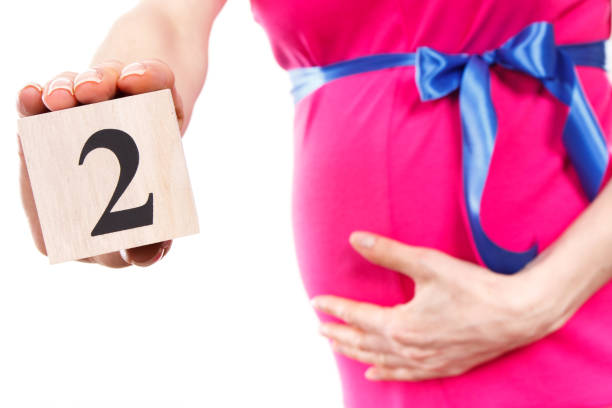 2 месячный беременность. Второй месяц беременности