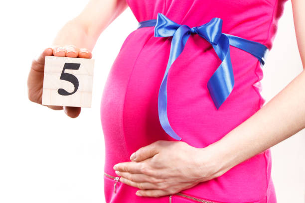 Беременность 5 месяц