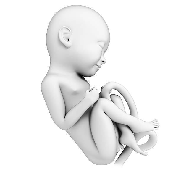 Проблемы с ребенком, выявляемые на УЗИ на восьмом месяце беременности