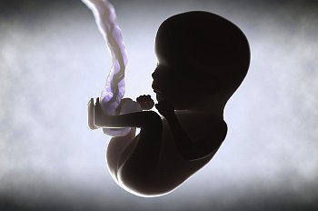 ► Когда можно узнать пол ребенка наиболее точно? Рассказываем, на каком сроке беременности можно с точностью определить пол будущего ребенка!