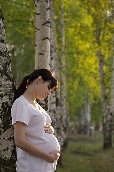 Можно ли беременным есть грибы ► Можно ли беременным есть грибы жаренные, соленые или маринованные?