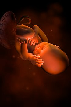► Умеренное маловодие при беременности — что это значит? Чем опасно умеренное и выраженное маловодие у беременных?