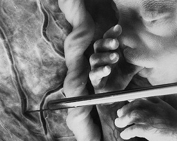 Внутриутробное развитие ребенка по неделям ► Внутриутробное развитие ребенка проходит в три стадии. Представляем этапы внутриутробного развития малыша по неделям беременности от зачатия до родов!
