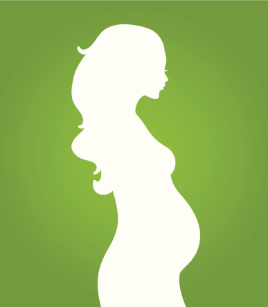 ► Что подвергается наибольшим изменениям в организме будущей матери во время беременности?