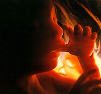 ► Что происходит с малышом и его мамой на 21, 22, 23, 24 неделе беременности?