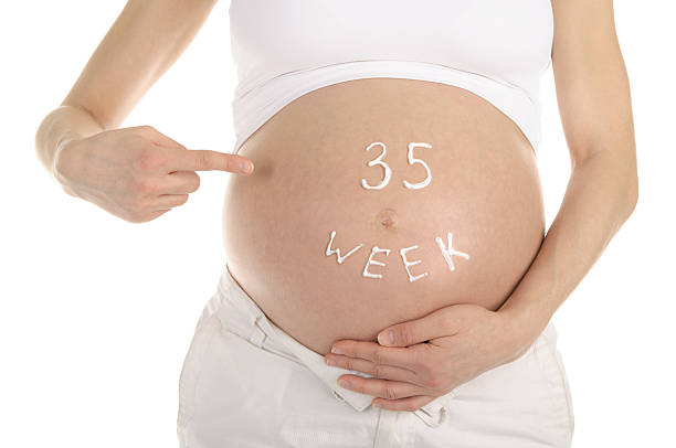 ► Развитие плода, вес и рост в 35 недель от зачатия