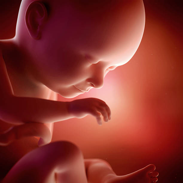 ► 37 недель от зачатия: предвестники, как начинаются роды