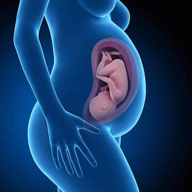 ► Предвестники родов, что вас ждет в родильном доме в 38 недель от зачатия