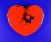 Болезни сердца и сердечно-сосудистой системы