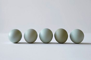 Яичная диета ► Яичная диета для похудения