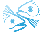 совместимость знака зодиака Рыбы