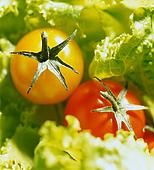 Очень малая калорийность продуктов питания Овощи, содержащие большое количество клетчатки обладают очень малой калорийностью