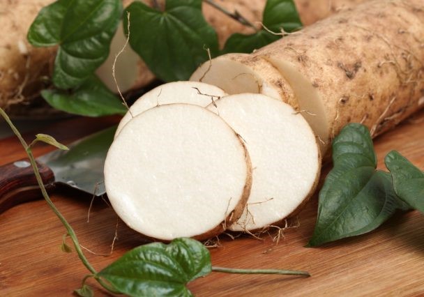 Корень дикого ямса для женщин ► Применение ямса при менопаузе, ПМС и сбое месячных у женщин
