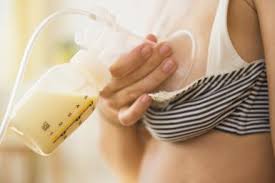 Народные средства и методы повышающие лактацию молока в домашних условиях