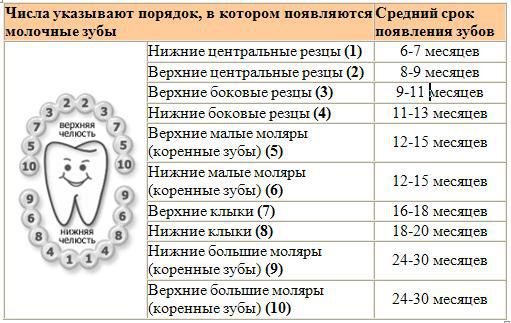 ► Как помочь ребенку при прорезывании зубов