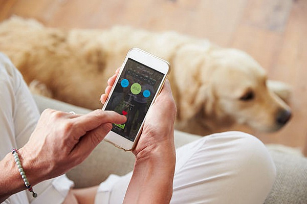 Фитнес-гаджеты для… домашних животных