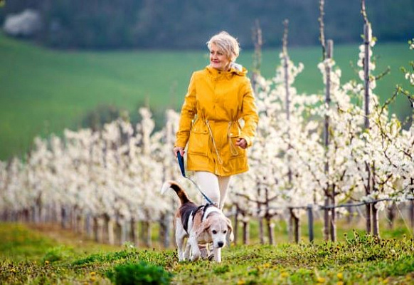 Можно ли похудеть с помощью 10000 шагов?
