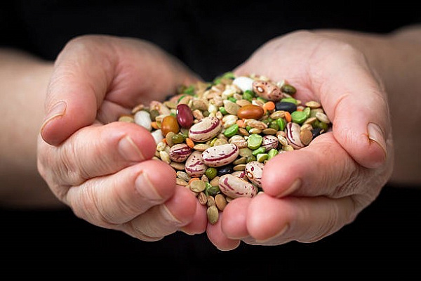 12 лучших источников растительного белка