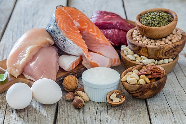 Белковая диета губит почки