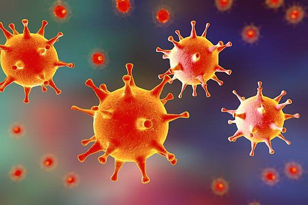 Вирус герпеса самоликвидируется