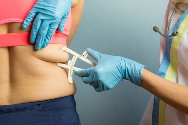 Сколько жира должно быть в женском теле?