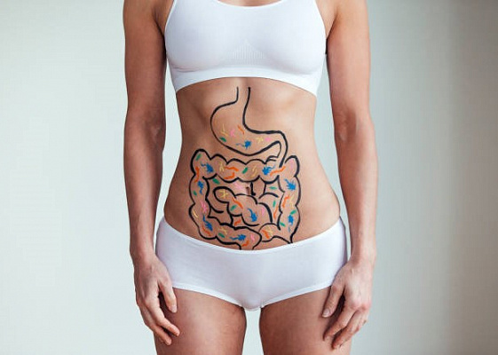 Как долго перевариваются разные продукты?