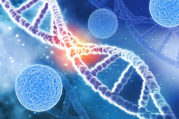 Самые распространенные мифы о раковых заболеваниях