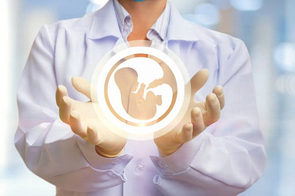 Зачатие детей от трех родителей — это возможно