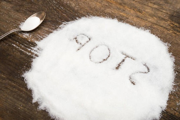 Соль является главным убийцей на кухне, считают эксперты