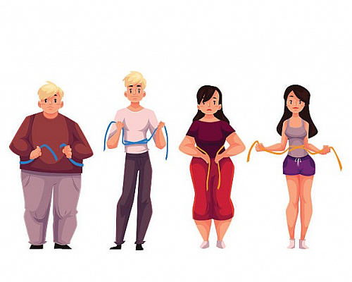 Почему мужчины и женщины худеют по разному?