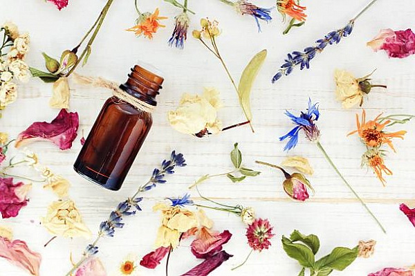 История и мифы о фитотерапии