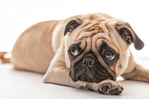 Лучшие способы убрать морщины марионетки