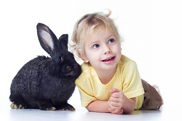 Что такое зоотерапия, и помогают ли животные выздороветь?