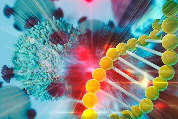 Убийца метастазов анти-PD1 - российские ученые разработали эффективное средство от рака