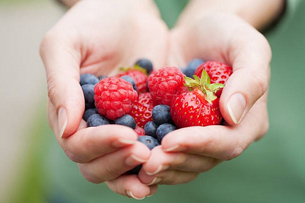 10 лучших продуктов для мозга